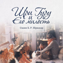 Аудиокнига Шри Гуру и Его милость