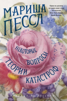 Аудиокнига Некоторые вопросы теории катастроф