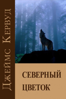 Аудиокнига Северный цветок