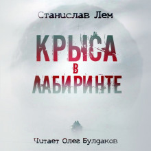 Аудиокнига Крыса в лабиринте