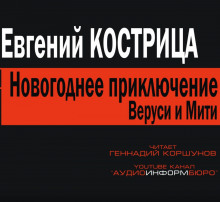 Аудиокнига Новогоднее приключение Веруси и Мити