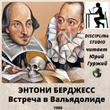 Аудиокнига Встреча в Вальядолиде