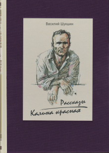 Аудиокнига Бессовестные