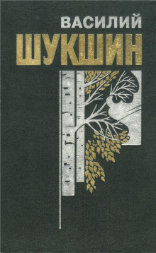 Аудиокнига Бессовестные