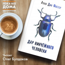 Аудиокнига Дар никчемного человека