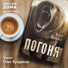 Аудиокнига Погоня