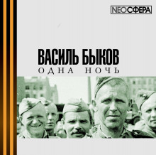 Аудиокнига Одна ночь