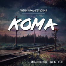 Аудиокнига Кома