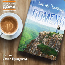 Аудиокнига Помехи