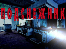 Аудиокнига Подснежник