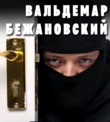 Аудиокнига Профессионал
