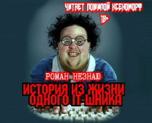 Аудиокнига История из жизни одного айтишника