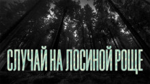 Аудиокнига Случай на Лосиной Роще