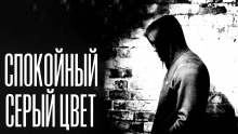Аудиокнига Спокойный серый цвет