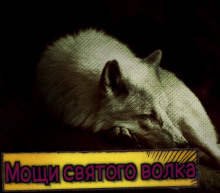 Аудиокнига Мощи святого волка