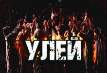 Аудиокнига Улей