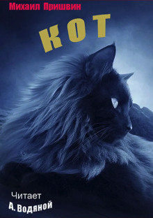 Аудиокнига Кот