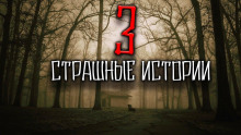 Аудиокнига Страшные истории из реальной жизни