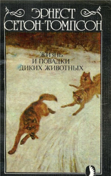 Аудиокнига Жизнь и повадки диких животных