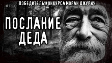 Аудиокнига Гоп-стоп и дедовские письмена
