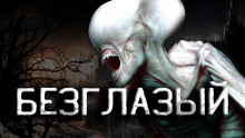 Аудиокнига Пограничник