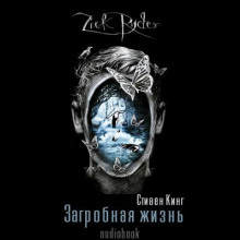 Аудиокнига Загробная жизнь