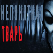 Аудиокнига Непонятная тварь
