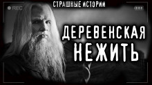 Аудиокнига Огнь