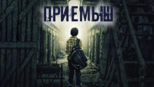 Аудиокнига Приёмыш