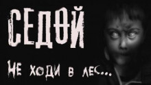Аудиокнига Седой