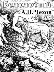 Аудиокнига Белолобый