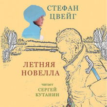 Аудиокнига Летняя новелла