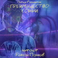 Аудиокнига Преимущество Сонни