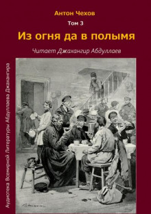Аудиокнига Из огня да в полымя
