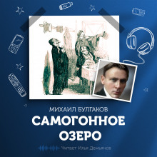 Аудиокнига Самогонное озеро