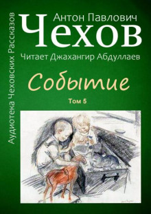 Аудиокнига Событие