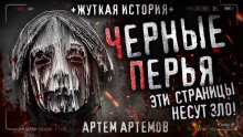 Аудиокнига Чёрные перья