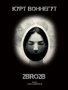 Аудиокнига 2BRO2B