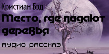Аудиокнига Место, где падают деревья