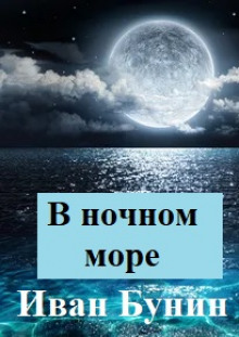 Аудиокнига В ночном море