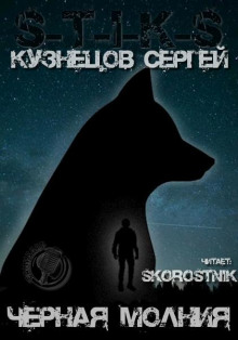 Аудиокнига S-T-I-K-S. Чёрная Молния