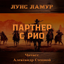 Аудиокнига Партнёр с Рио
