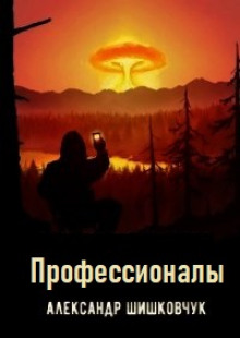 Аудиокнига Профессионалы