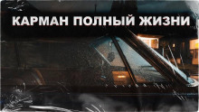 Аудиокнига Карман полный жизни