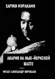Аудиокнига Авария на Нью-Йоркской шахте