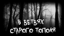 Аудиокнига В ветвях старого тополя