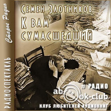 Аудиокнига К Вам сумасшедший