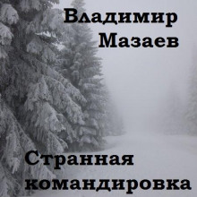 Аудиокнига Странная командировка