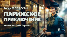 Аудиокнига Парижское приключение