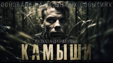 Аудиокнига Камыши